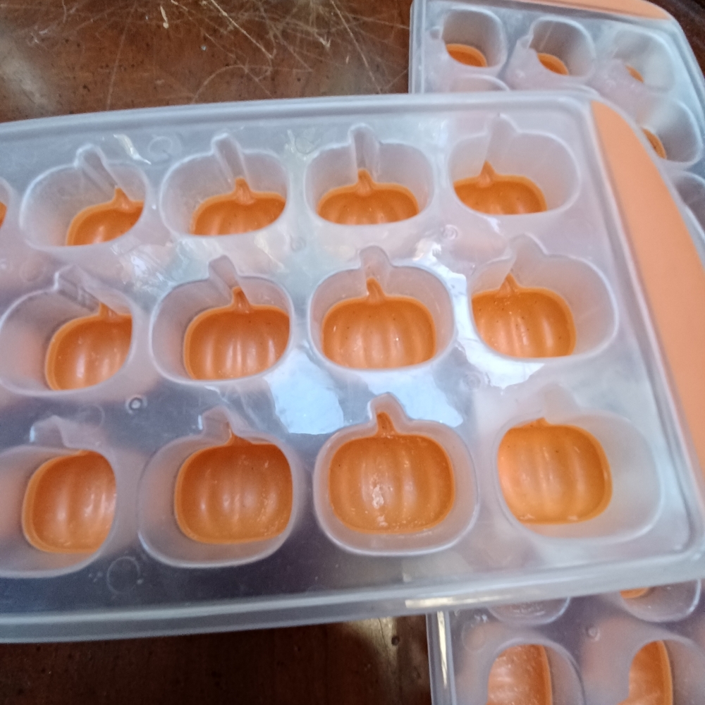 NWOT PUMPKIN SHAPE POP UP ICE TRAY